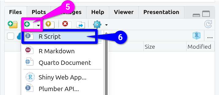 Create a new R Script