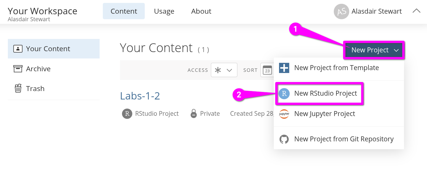 New Project > New RStudio Project