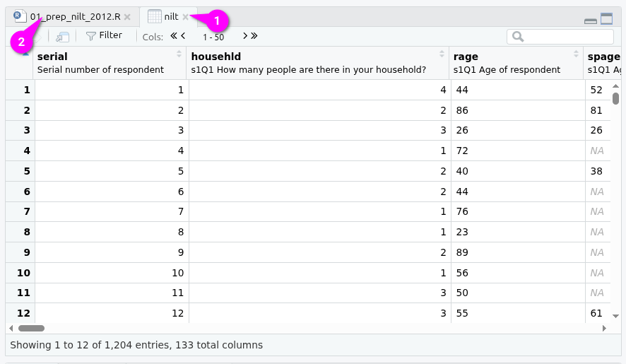 Viewing the nilt as a table in the Sources pane