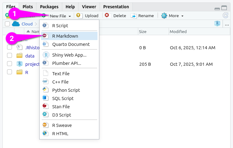 Create a new Rmd file