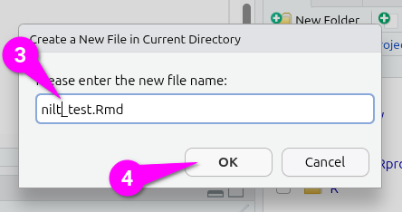 Add a name for new R Markdown file