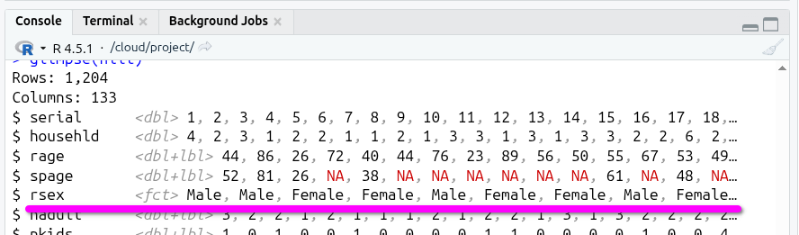 Glimpsing nilt after coercing some variables