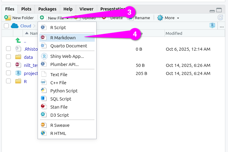 Create a new Rmd file