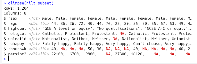 Glimping the nilt_subset object.