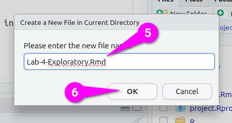 Give the Rmd file an appropriate name