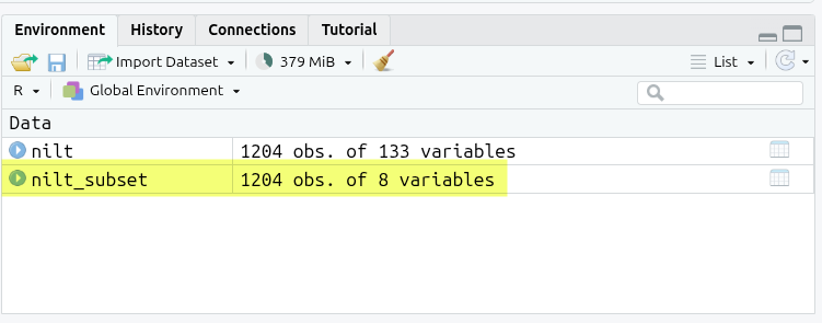 Environment pane with nilt_subset highlighted.