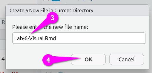 Name the file ‘Lab-6-Visual.Rmd’