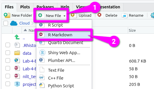 New File > R Markdown