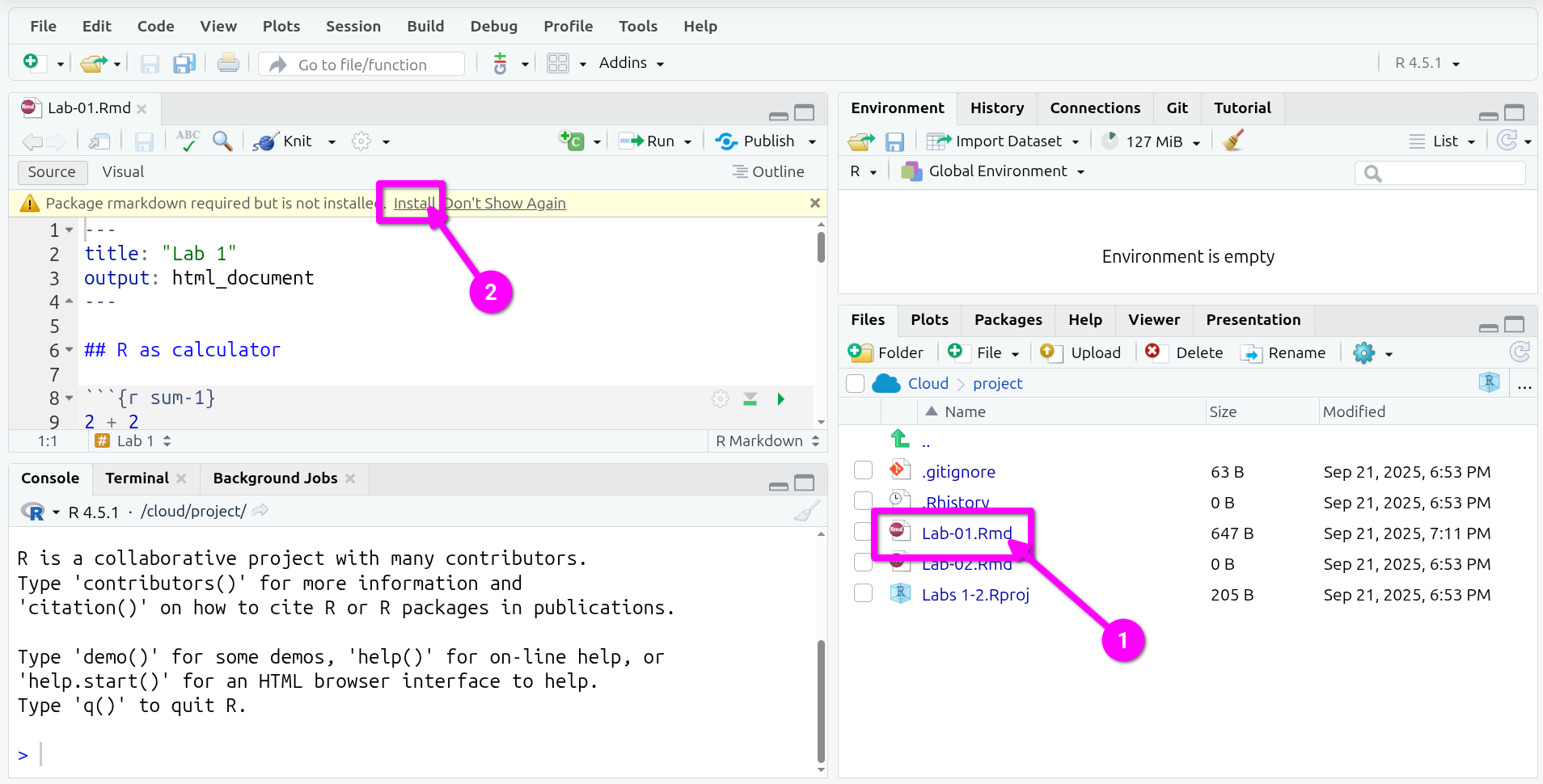 Open the Lab-01.Rmd file and ‘Install’ rmarkdown package