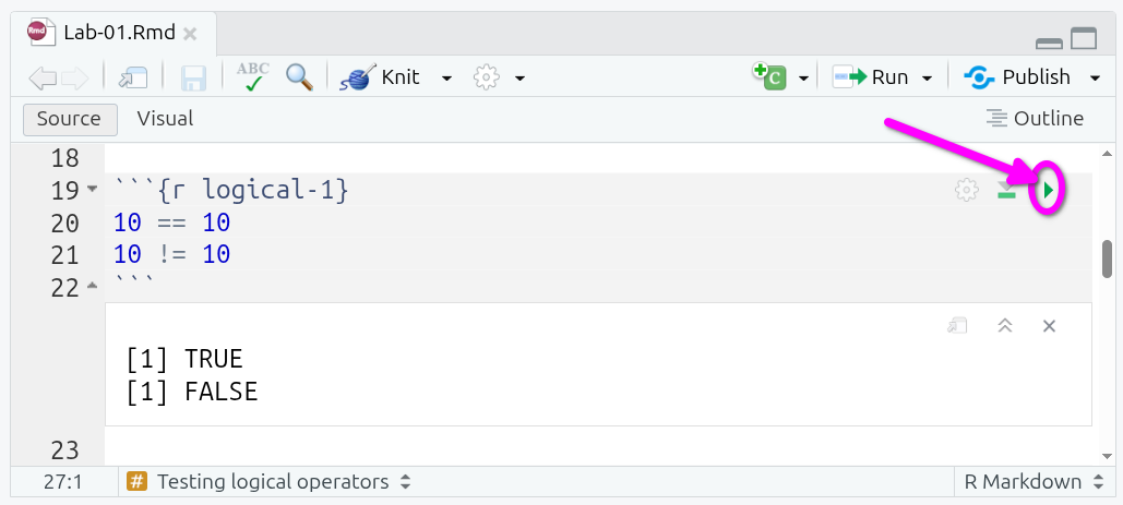 logical-1 code chunk and results from running it