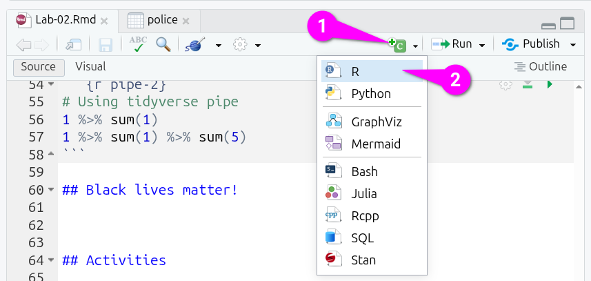 Using the ‘c’ icon to create a new code chunk.